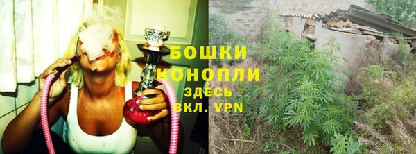 Альфа ПВП Горняк