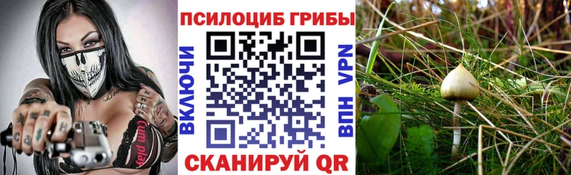 blacksprut ONION Тверь Галлюциногенные грибы мицелий продажа наркотиков
