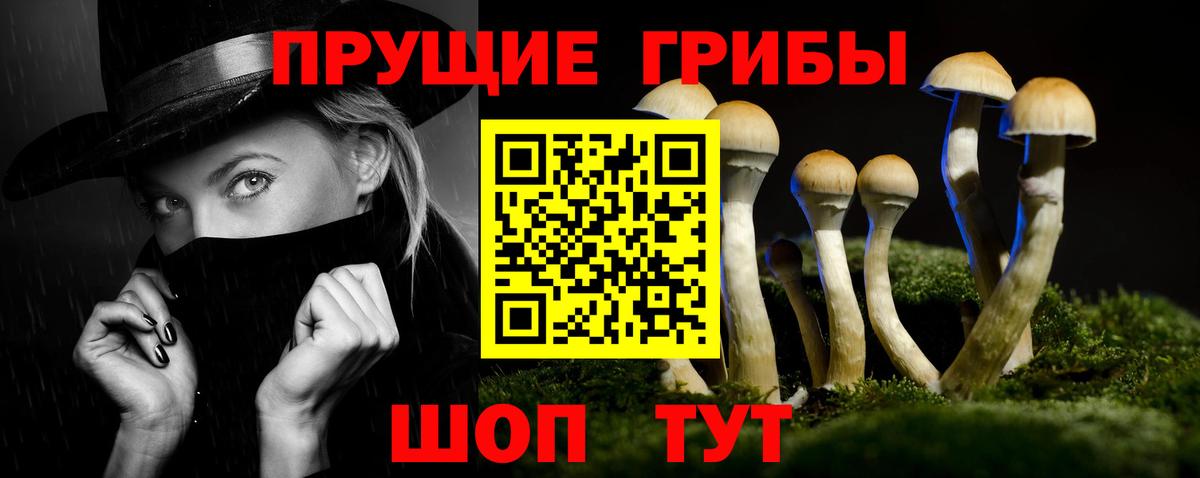 Галлюциногенные грибы прущие грибы Тверь